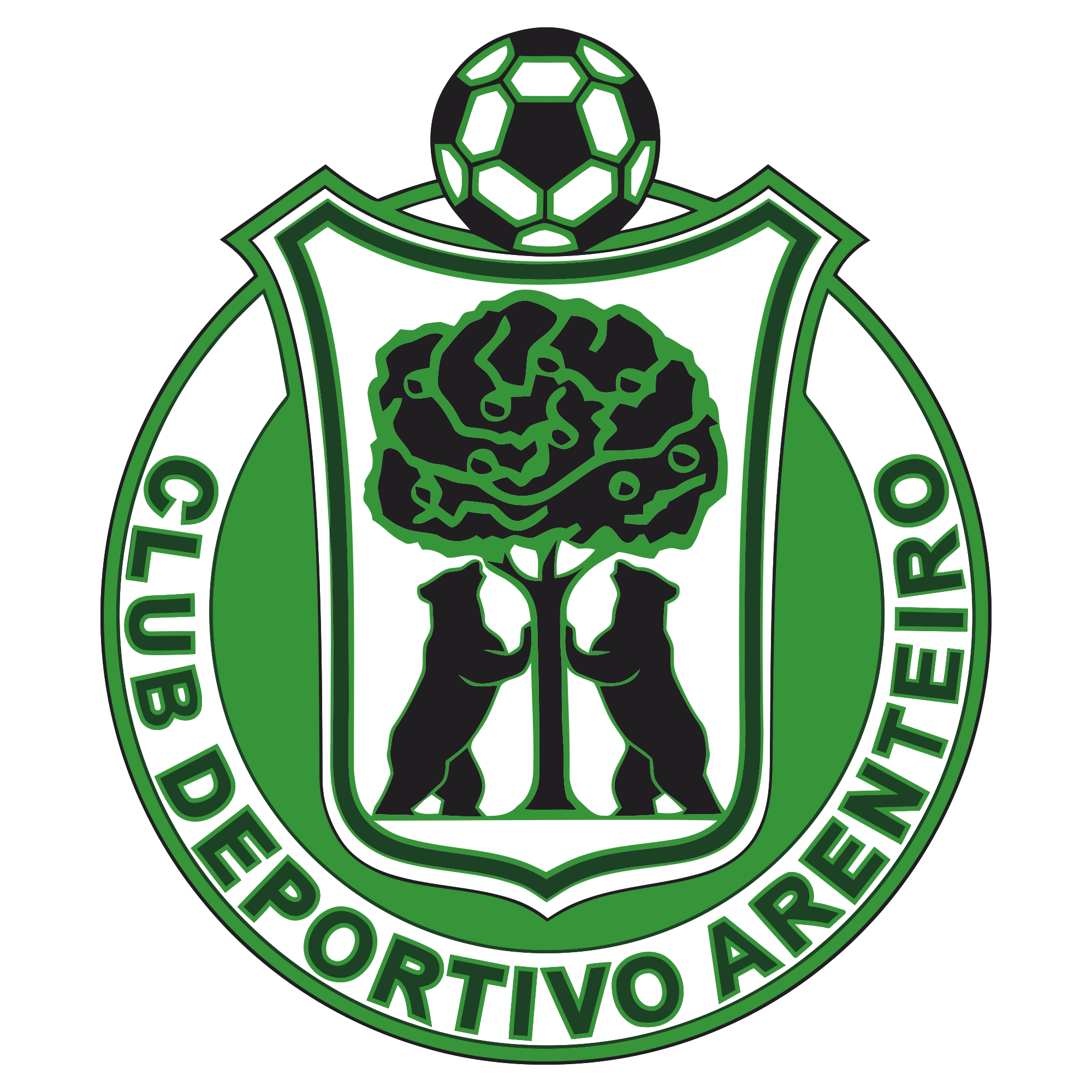 CD Arenteiro